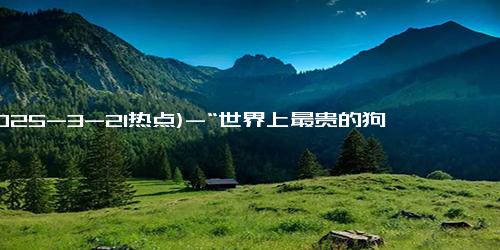 (2025-3-21热点)-“世界上最贵的狗”卖出570万美元 网友：人不如狗又实锤了